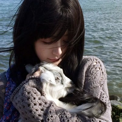 斑马人2：斑马城的逆袭 在线播放海报